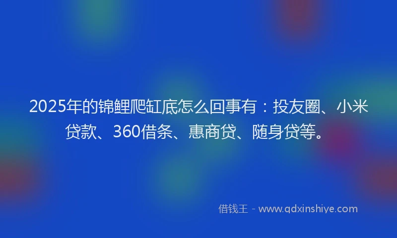2025年的锦鲤爬缸底怎么回事有：投友圈、小米贷款、360借条、惠商贷、随身贷等。