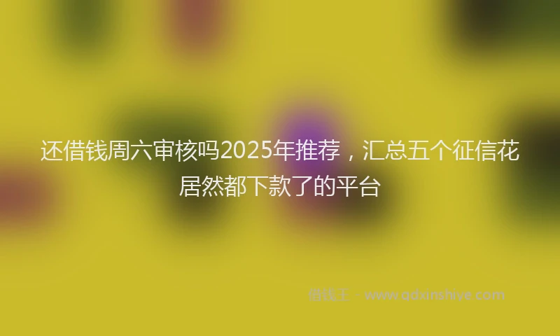 还借钱周六审核吗2025年推荐，汇总五个征信花居然都下款了的平台