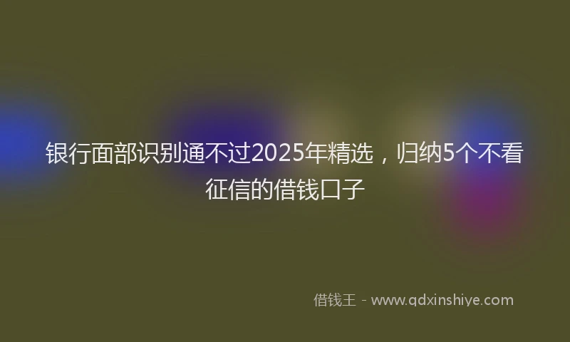 银行面部识别通不过2025年精选，归纳5个不看征信的借钱口子