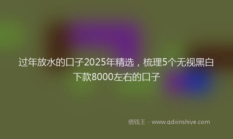 过年放水的口子2025年精选，梳理5个无视黑白下款8000左右的口子