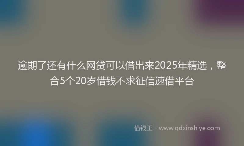 逾期了还有什么网贷可以借出来2025年精选，整合5个20岁借钱不求征信速借平台