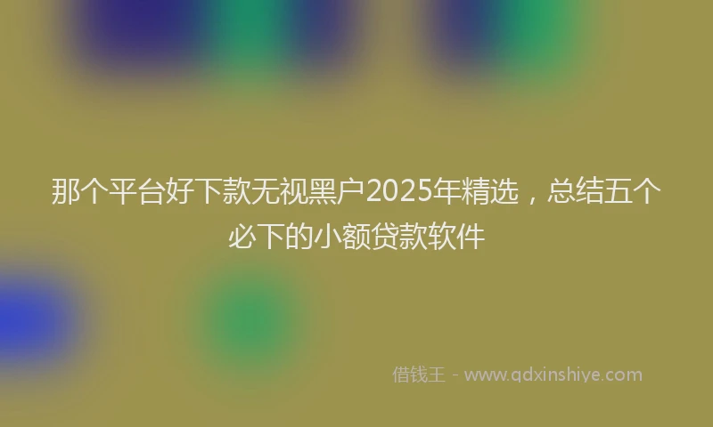 那个平台好下款无视黑户2025年精选，总结五个必下的小额贷款软件