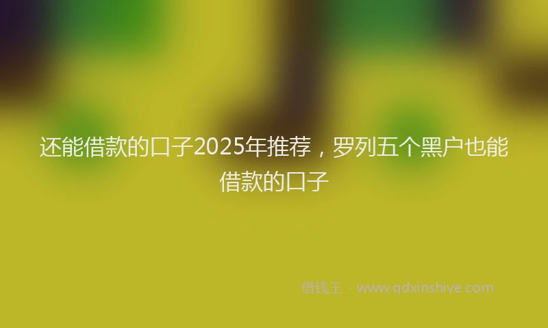 还能借款的口子2025年推荐，罗列五个黑户也能借款的口子