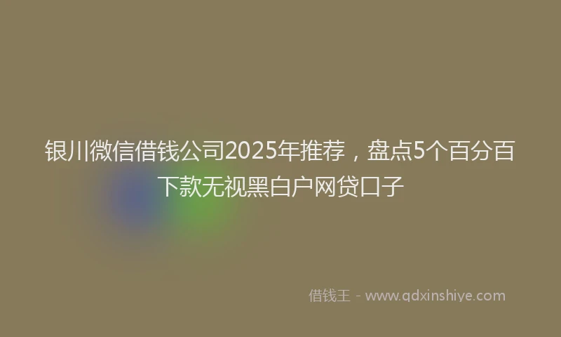 银川微信借钱公司2025年推荐，盘点5个百分百下款无视黑白户网贷口子