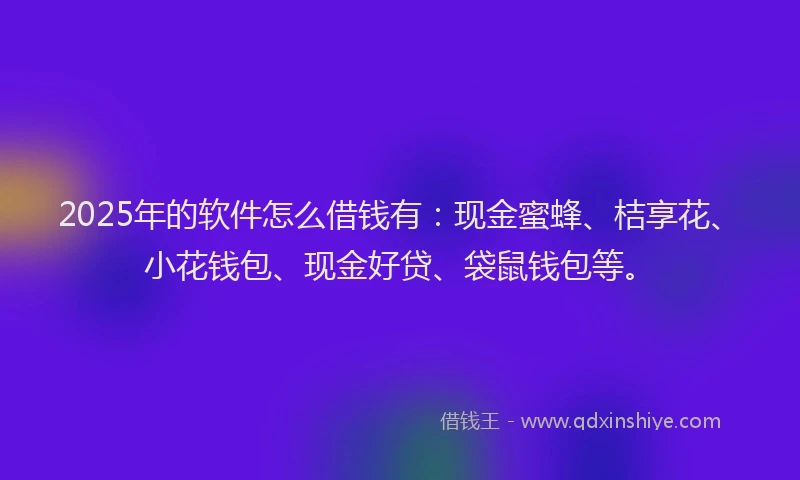 2025年的软件怎么借钱有：现金蜜蜂、桔享花、小花钱包、现金好贷、袋鼠钱包等。
