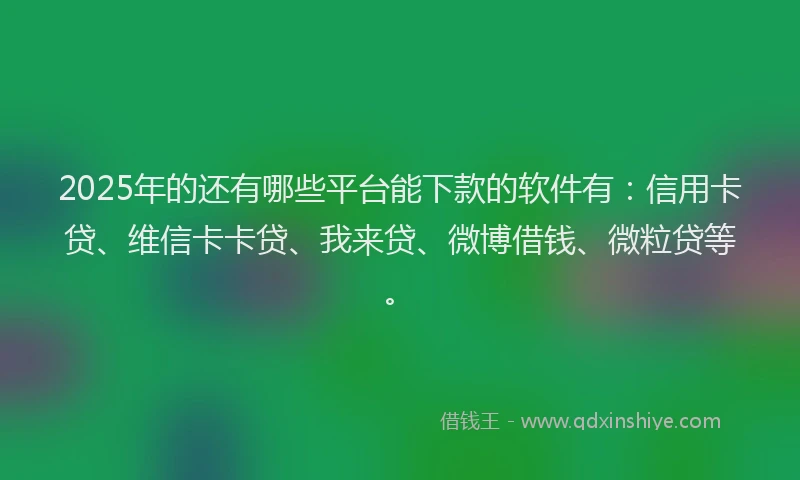 2025年的还有哪些平台能下款的软件有：信用卡贷、维信卡卡贷、我来贷、微博借钱、微粒贷等。