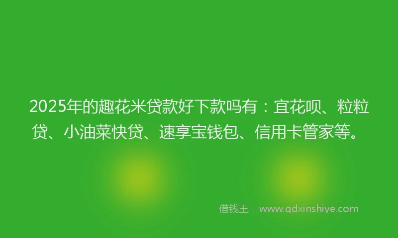 2025年的趣花米贷款好下款吗有：宜花呗、粒粒贷、小油菜快贷、速享宝钱包、信用卡管家等。