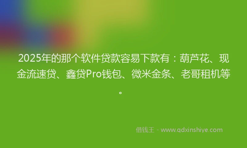 2025年的那个软件贷款容易下款有：葫芦花、现金流速贷、鑫贷Pro钱包、微米金条、老哥租机等。