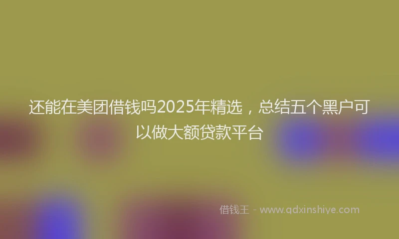 还能在美团借钱吗2025年精选，总结五个黑户可以做大额贷款平台