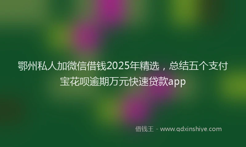 鄂州私人加微信借钱2025年精选，总结五个支付宝花呗逾期万元快速贷款app