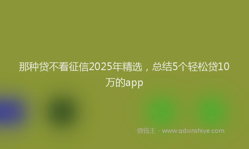 那种贷不看征信2025年精选，总结5个轻松贷10万的app