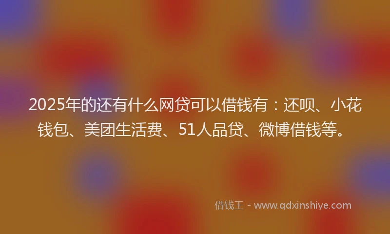 2025年的还有什么网贷可以借钱有:还呗、小花钱包、美团生活费、51人品贷、微博借钱等。