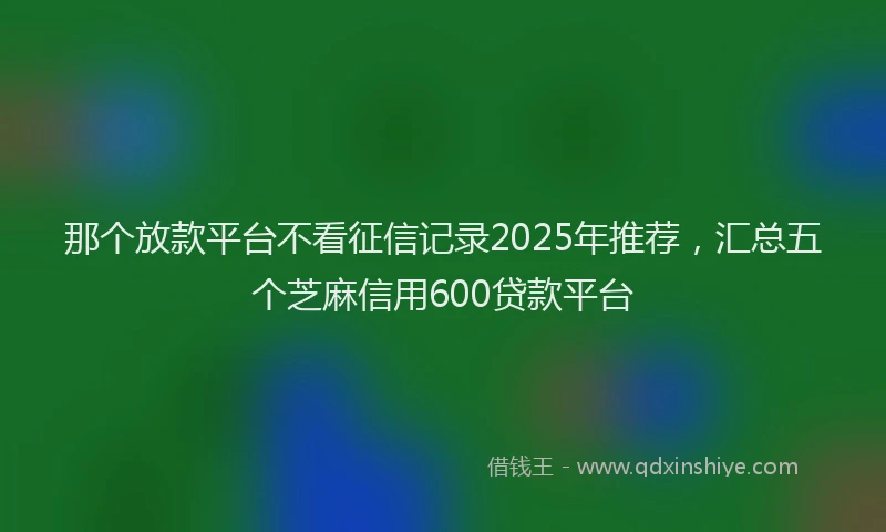 那个放款平台不看征信记录2025年推荐，汇总五个芝麻信用600贷款平台