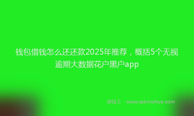 钱包借钱怎么还还款2025年推荐，概括5个无视逾期大数据花户黑户app