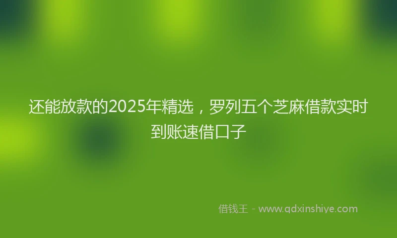 还能放款的2025年精选，罗列五个芝麻借款实时到账速借口子