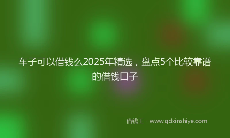 车子可以借钱么2025年精选，盘点5个比较靠谱的借钱口子