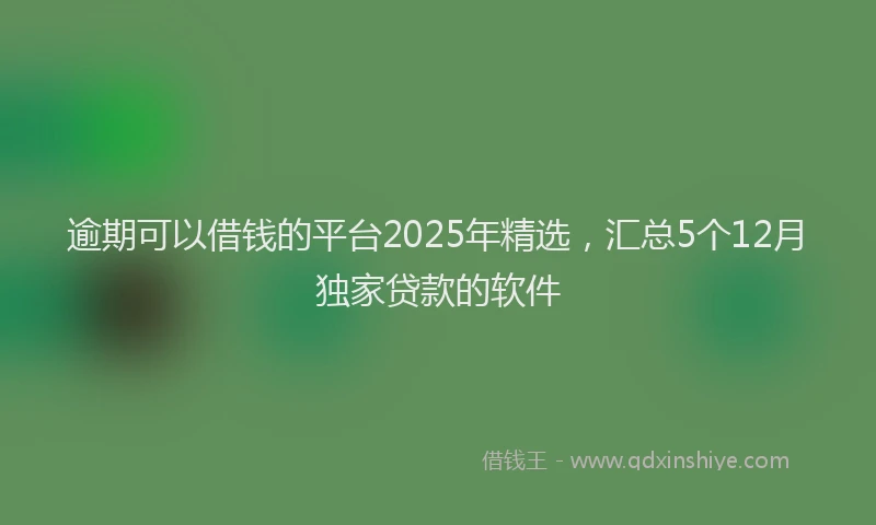逾期可以借钱的平台2025年精选，汇总5个12月独家贷款的软件