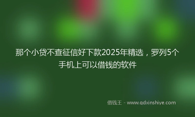 那个小贷不查征信好下款2025年精选，罗列5个手机上可以借钱的软件