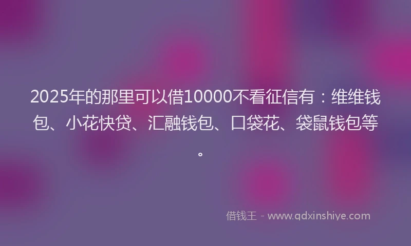 2025年的那里可以借10000不看征信有：维维钱包、小花快贷、汇融钱包、口袋花、袋鼠钱包等。