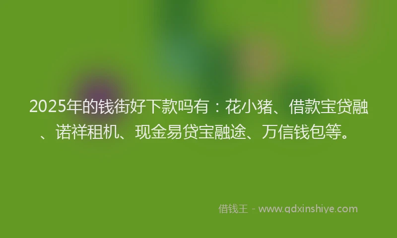 2025年的钱街好下款吗有：花小猪、借款宝贷融、诺祥租机、现金易贷宝融途、万信钱包等。