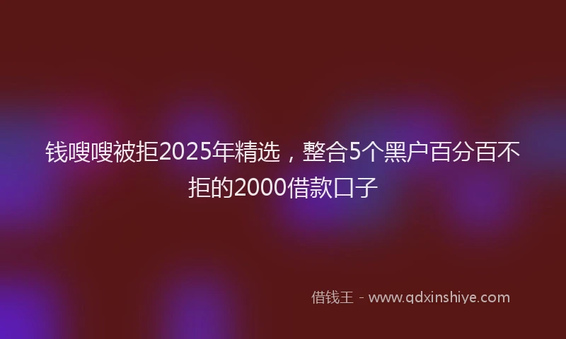 钱嗖嗖被拒2025年精选，整合5个黑户百分百不拒的2000借款口子
