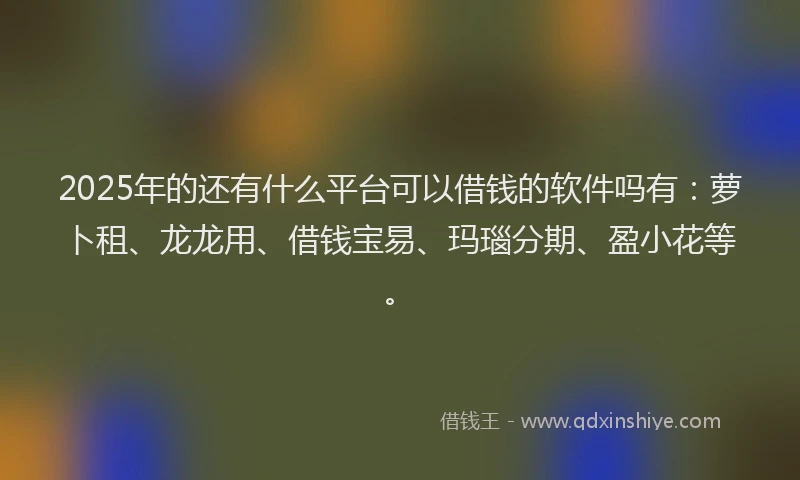 2025年的还有什么平台可以借钱的软件吗有：萝卜租、龙龙用、借钱宝易、玛瑙分期、盈小花等。
