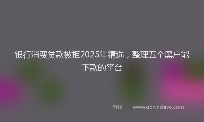 银行消费贷款被拒2025年精选，整理五个黑户能下款的平台