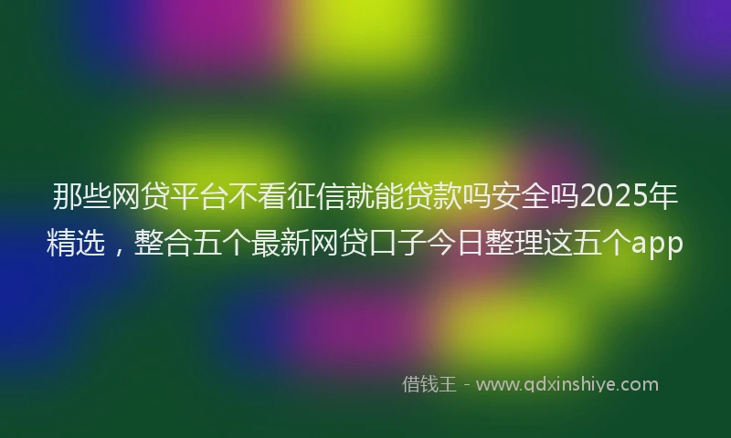那些网贷平台不看征信就能贷款吗安全吗2025年精选，整合五个最新网贷口子今日整理这五个app