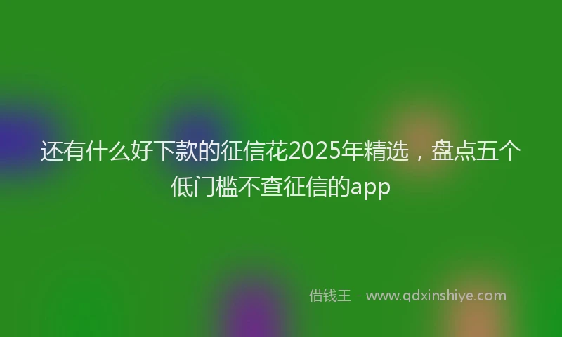 还有什么好下款的征信花2025年精选，盘点五个低门槛不查征信的app