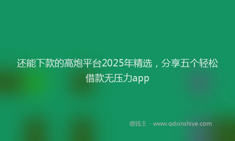 还能下款的高炮平台2025年精选，分享五个轻松借款无压力app