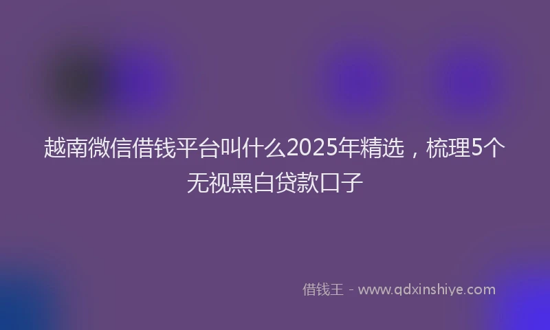 越南微信借钱平台叫什么2025年精选，梳理5个无视黑白贷款口子