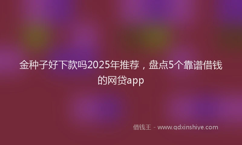 金种子好下款吗2025年推荐，盘点5个靠谱借钱的网贷app