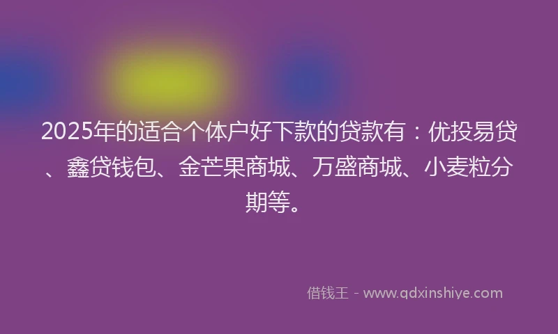 2025年的适合个体户好下款的贷款有：优投易贷、鑫贷钱包、金芒果商城、万盛商城、小麦粒分期等。