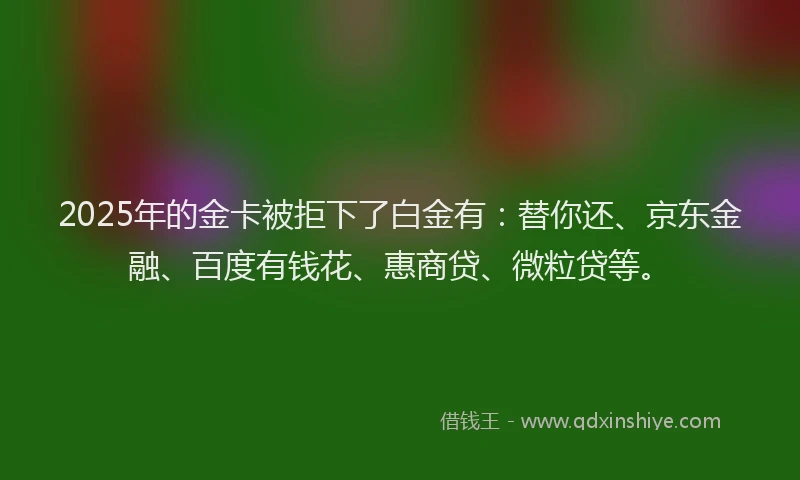 2025年的金卡被拒下了白金有:替你还、京东金融、百度有钱花、惠商贷、微粒贷等。
