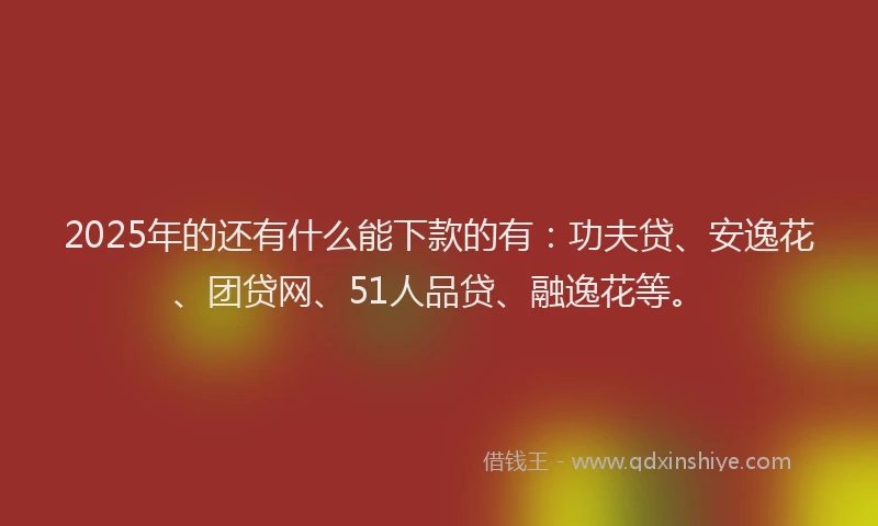 2025年的还有什么能下款的有：功夫贷、安逸花、团贷网、51人品贷、融逸花等。
