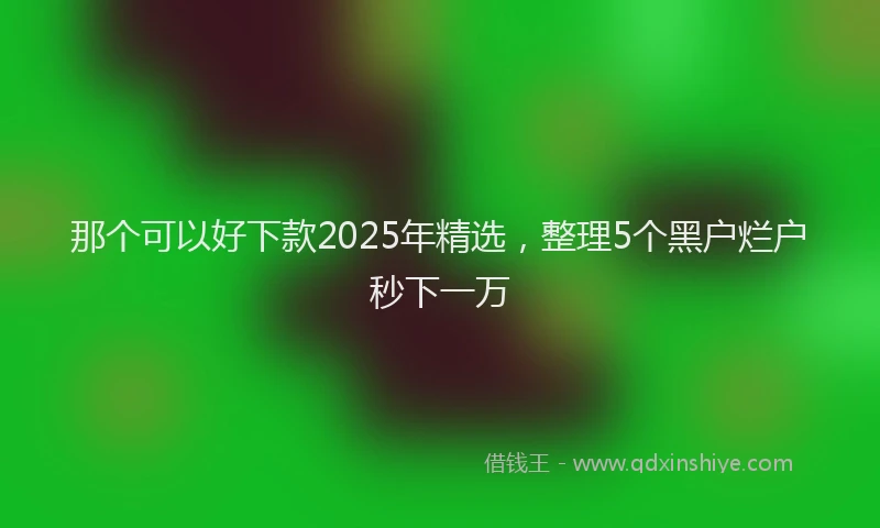 那个可以好下款2025年精选，整理5个黑户烂户秒下一万