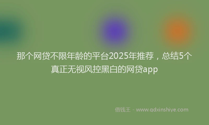 那个网贷不限年龄的平台2025年推荐，总结5个真正无视风控黑白的网贷app