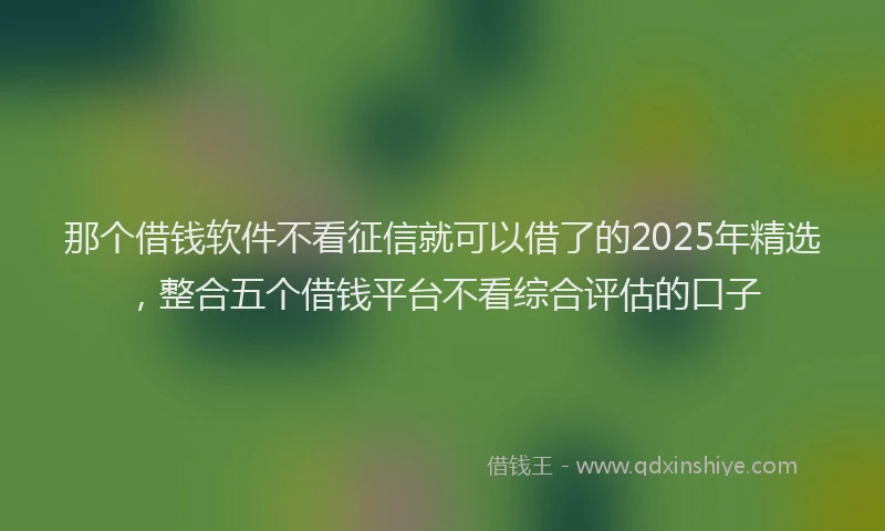 那个借钱软件不看征信就可以借了的2025年精选，整合五个借钱平台不看综合评估的口子