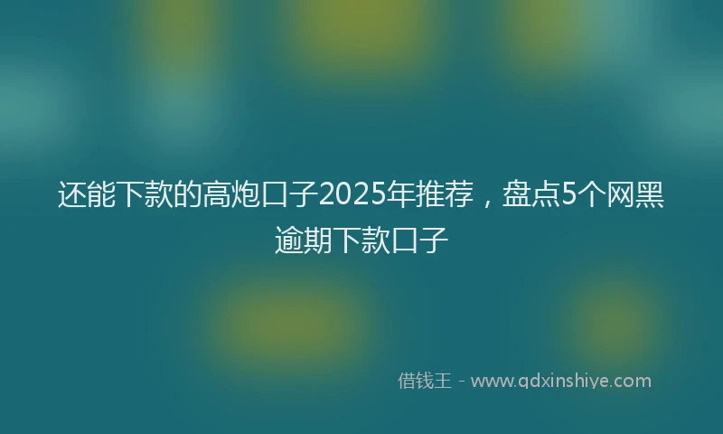 还能下款的高炮口子2025年推荐，盘点5个网黑逾期下款口子