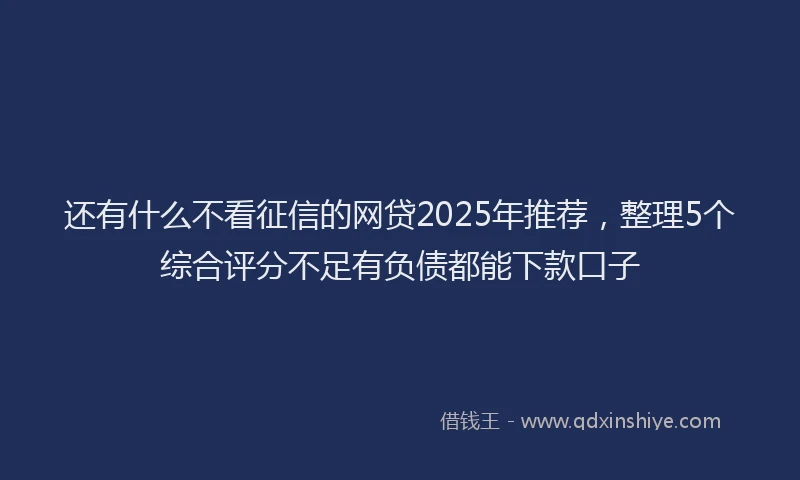还有什么不看征信的网贷2025年推荐，整理5个综合评分不足有负债都能下款口子