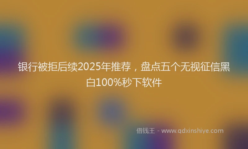银行被拒后续2025年推荐，盘点五个无视征信黑白100%秒下软件