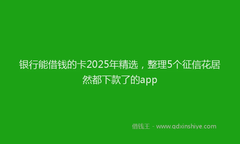 银行能借钱的卡2025年精选，整理5个征信花居然都下款了的app