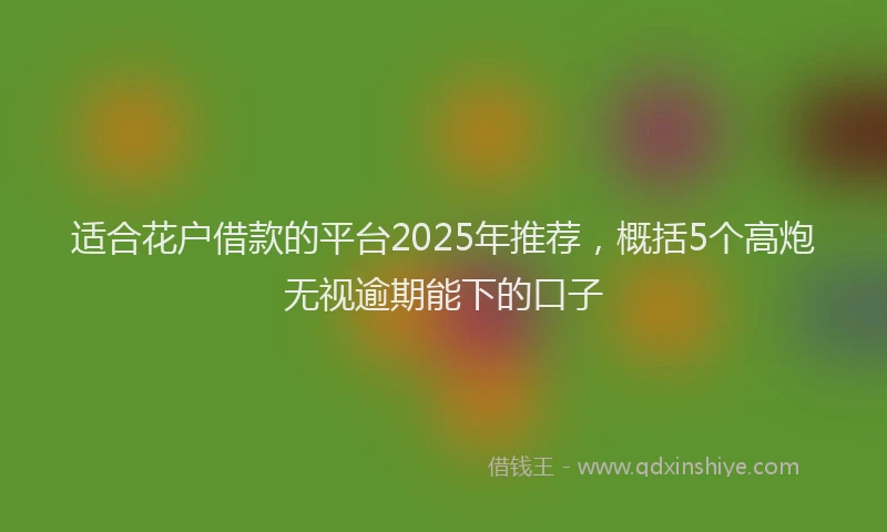 适合花户借款的平台2025年推荐，概括5个高炮无视逾期能下的口子