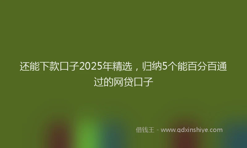 还能下款口子2025年精选，归纳5个能百分百通过的网贷口子