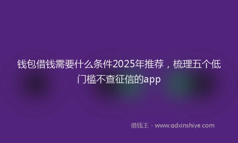 钱包借钱需要什么条件2025年推荐，梳理五个低门槛不查征信的app