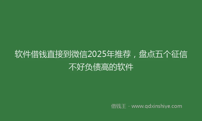 软件借钱直接到微信2025年推荐，盘点五个征信不好负债高的软件