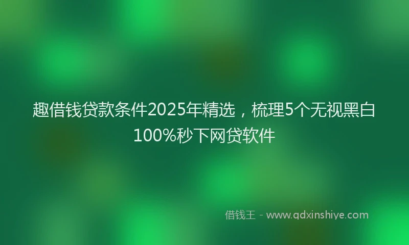 趣借钱贷款条件2025年精选，梳理5个无视黑白100%秒下网贷软件