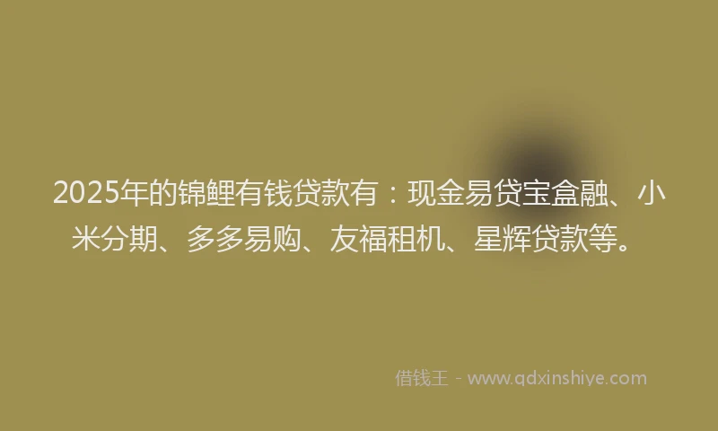 2025年的锦鲤有钱贷款有：现金易贷宝盒融、小米分期、多多易购、友福租机、星辉贷款等。