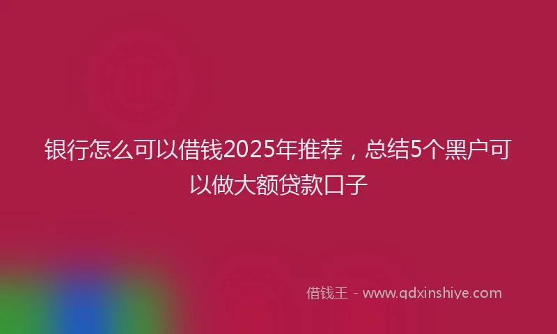 银行怎么可以借钱2025年推荐，总结5个黑户可以做大额贷款口子