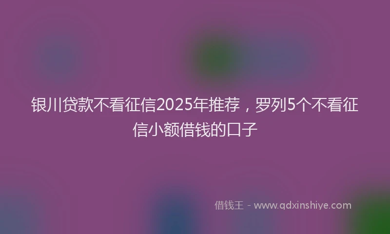 银川贷款不看征信2025年推荐，罗列5个不看征信小额借钱的口子